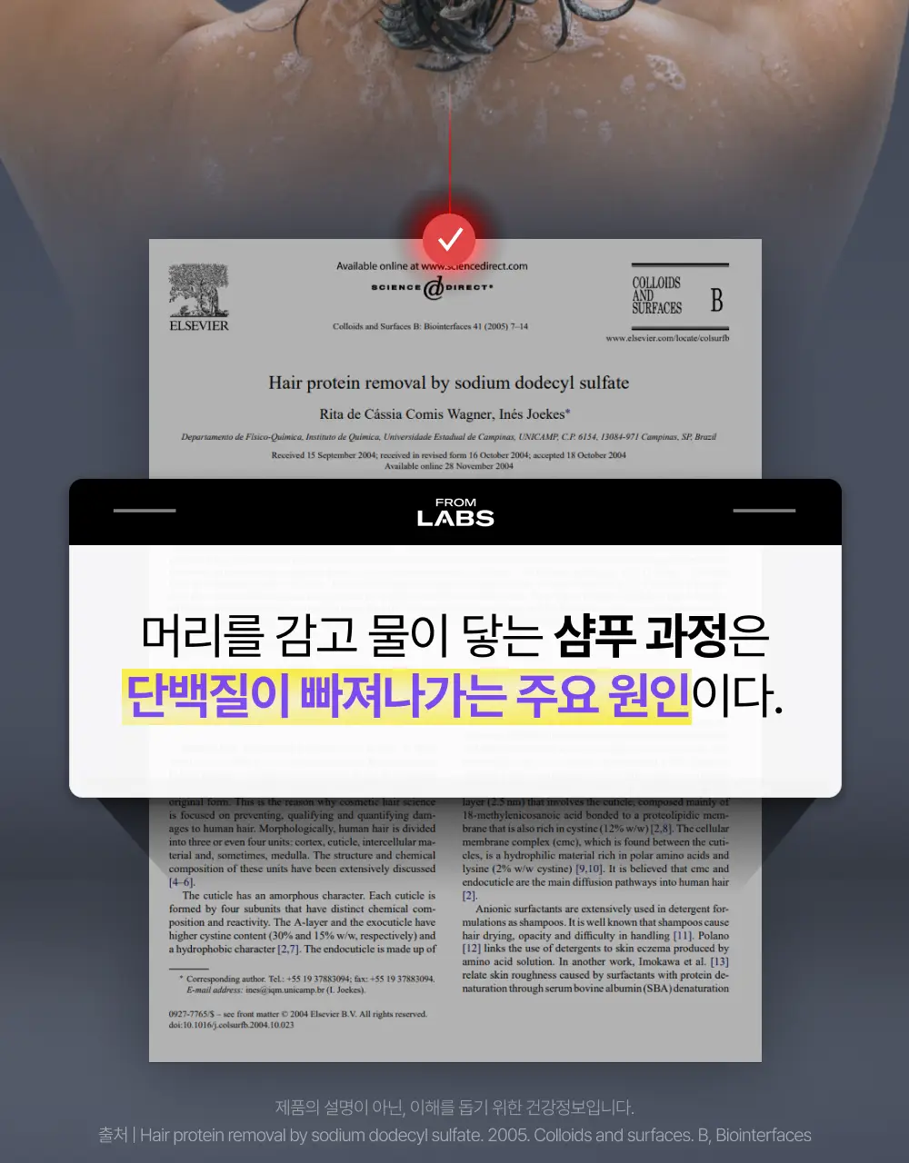 [1회 만에 손상모 개선] 프롬랩스 단백질 흡착 샴푸 500ml (노설페이트) 상세페이지 10